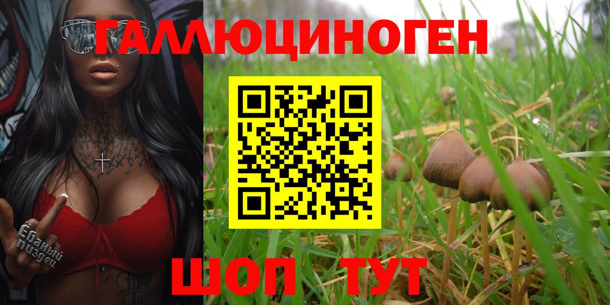 Псилоцибиновые грибы Cubensis Черкесск