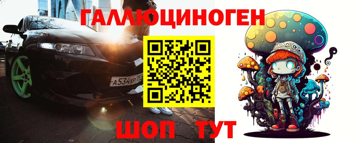 как найти закладки  Вход с VPN  Псилоцибиновые грибы GOLDEN TEACHER  Черкесск  Галлюциногенные грибы Magic Shrooms 