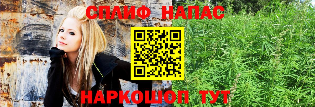 МАРИХУАНА OG Kush  Шишки марихуана тримм  Вход с VPN  Черкесск  Бошки марихуана Bruce Banner  Шишки марихуана индика 